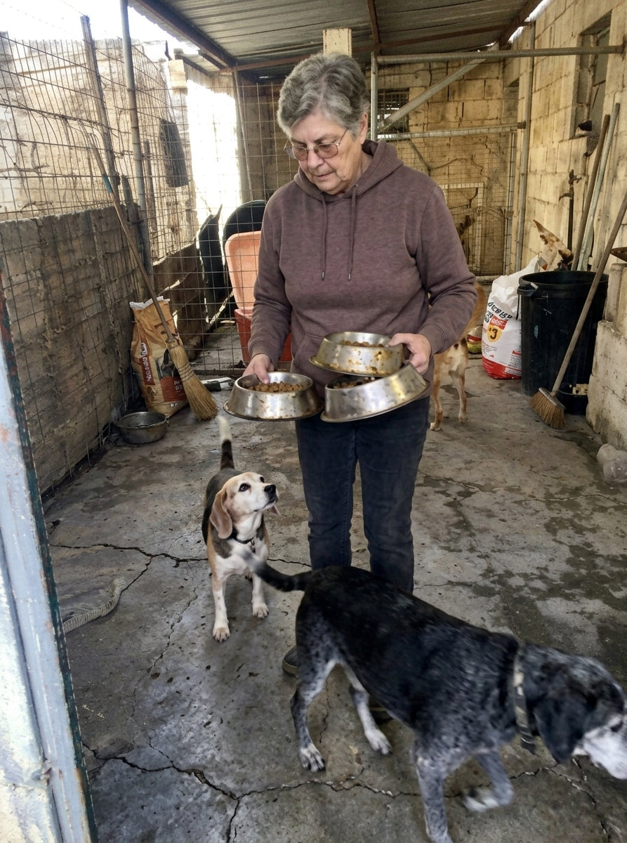 Support Our Senior Dogs